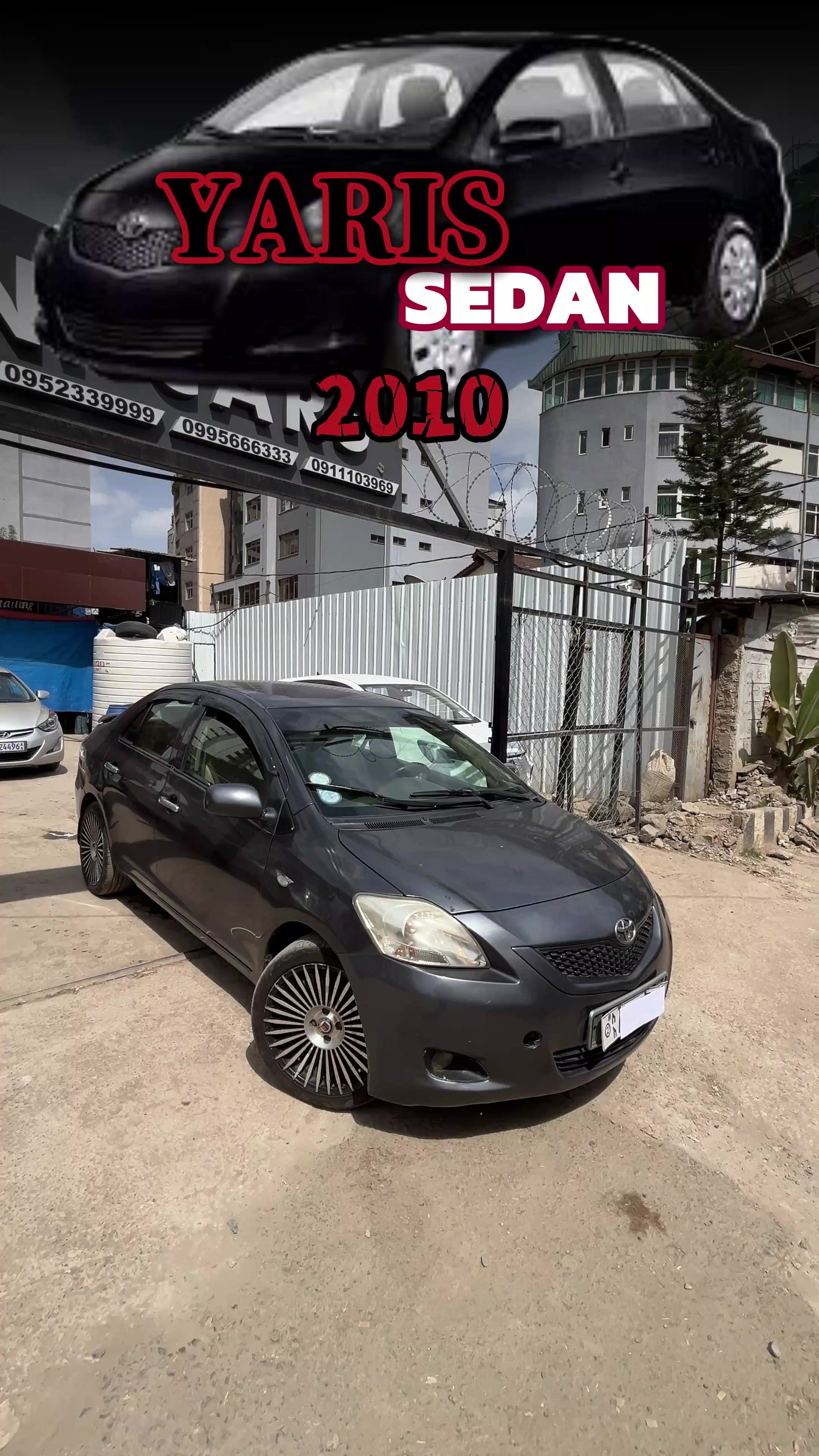 @Bini Cars