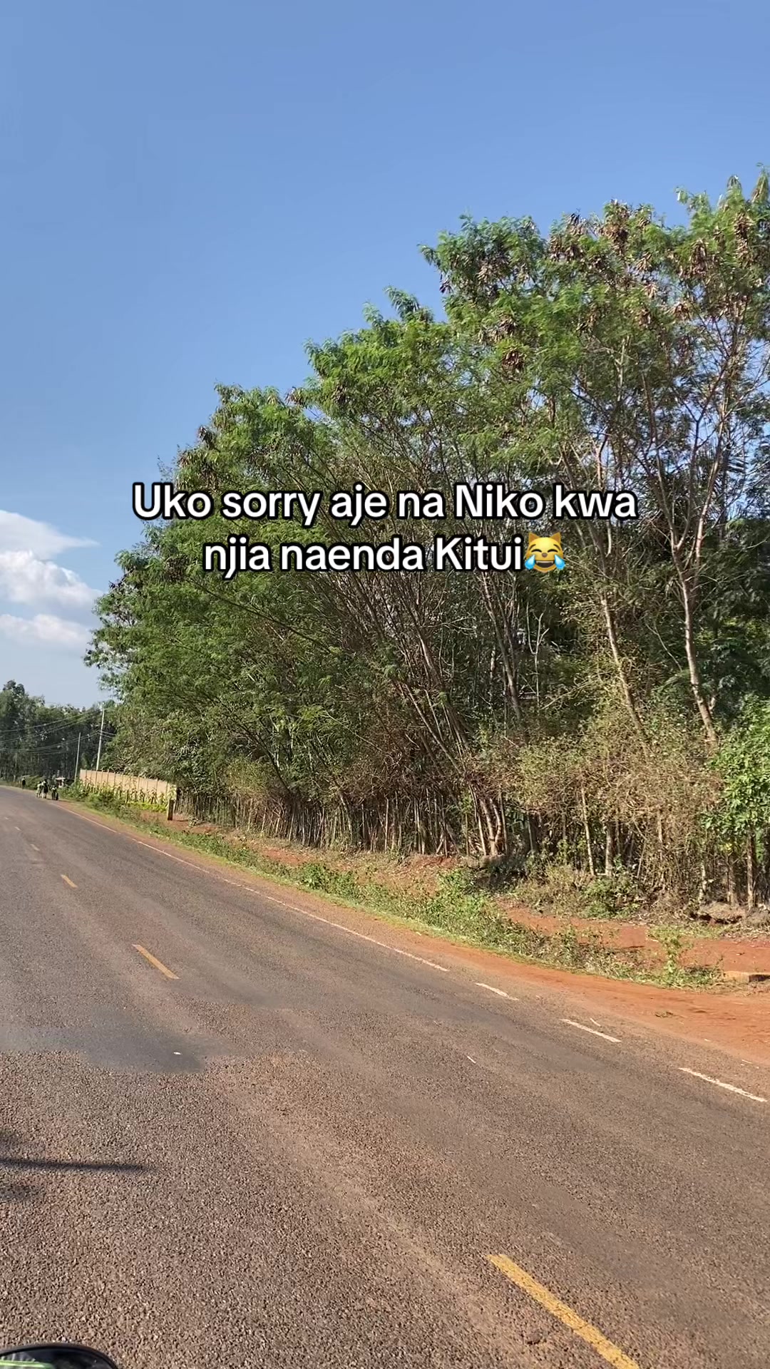 @enooooooooh???
