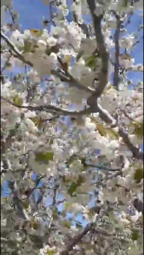 @TC Barış Yiğit