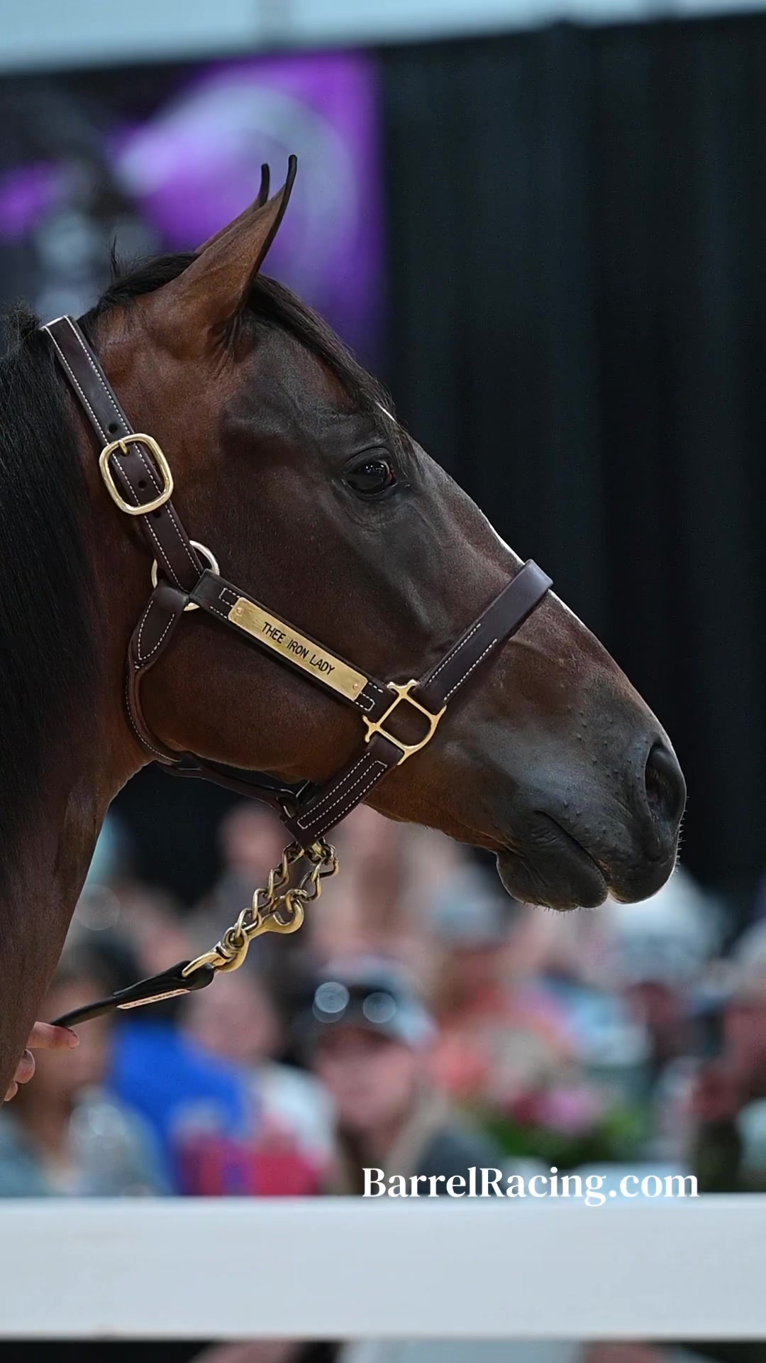 @BarrelRacing.com