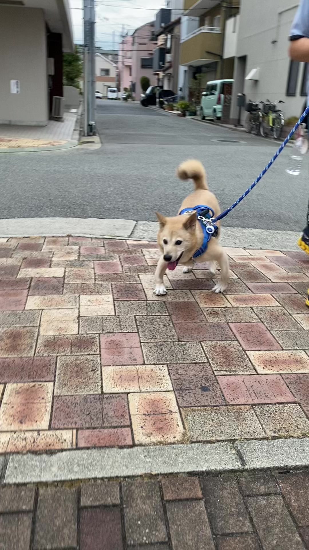 @てる