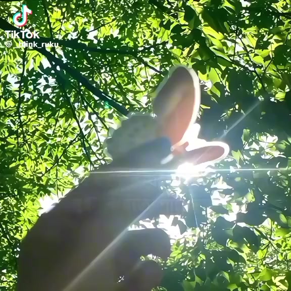 @༺☆༻♡︎ 𝓑𝓵𝓲𝓷𝓴 𝓩𝓲𝔂𝓪 ༺☆༻♡