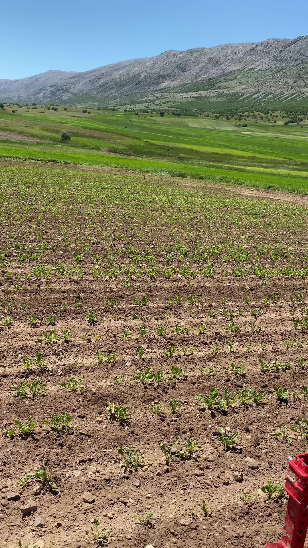 @Hüseyin Karacalar