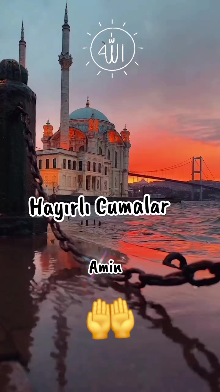 @arzu ergün