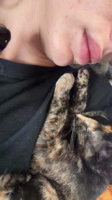 @𝔩 𝔲 𝔠 𝔦 𝔣 𝔢 𝔱 𝔱 𝔢