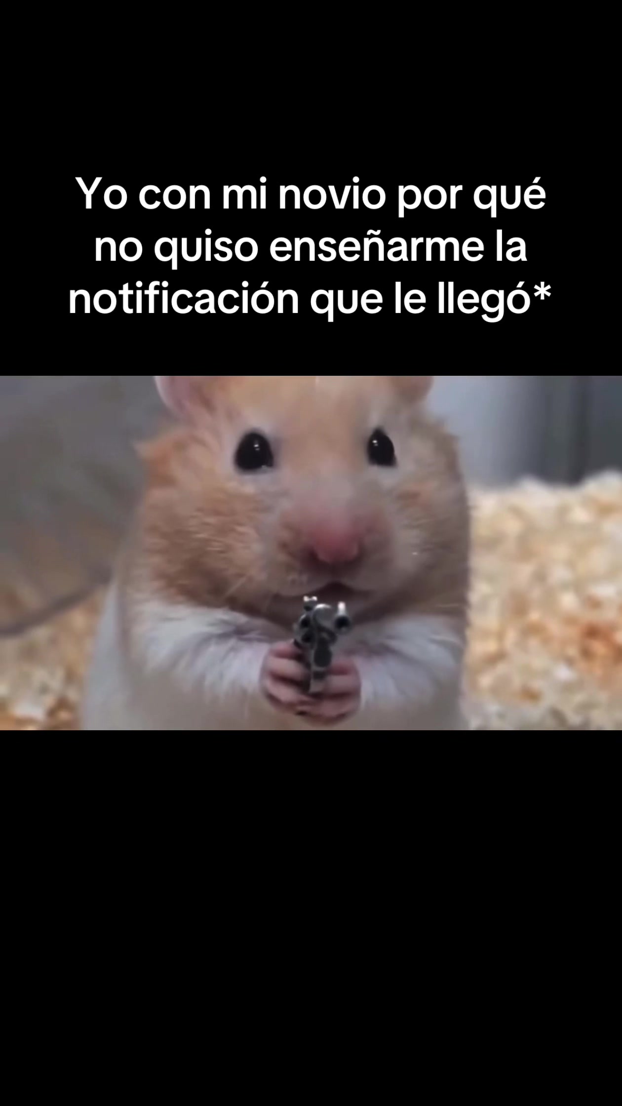 @i'm alex