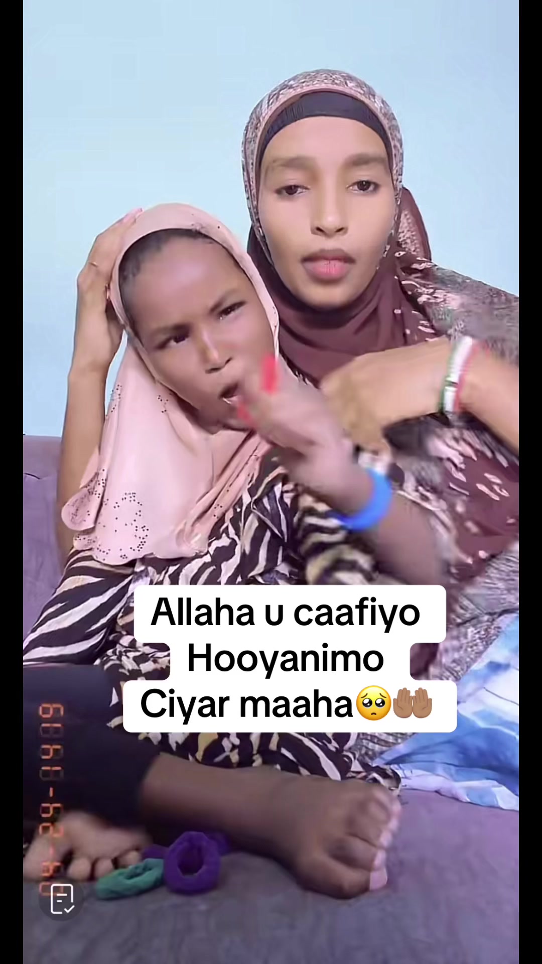 @Halaag girl 🦂📺