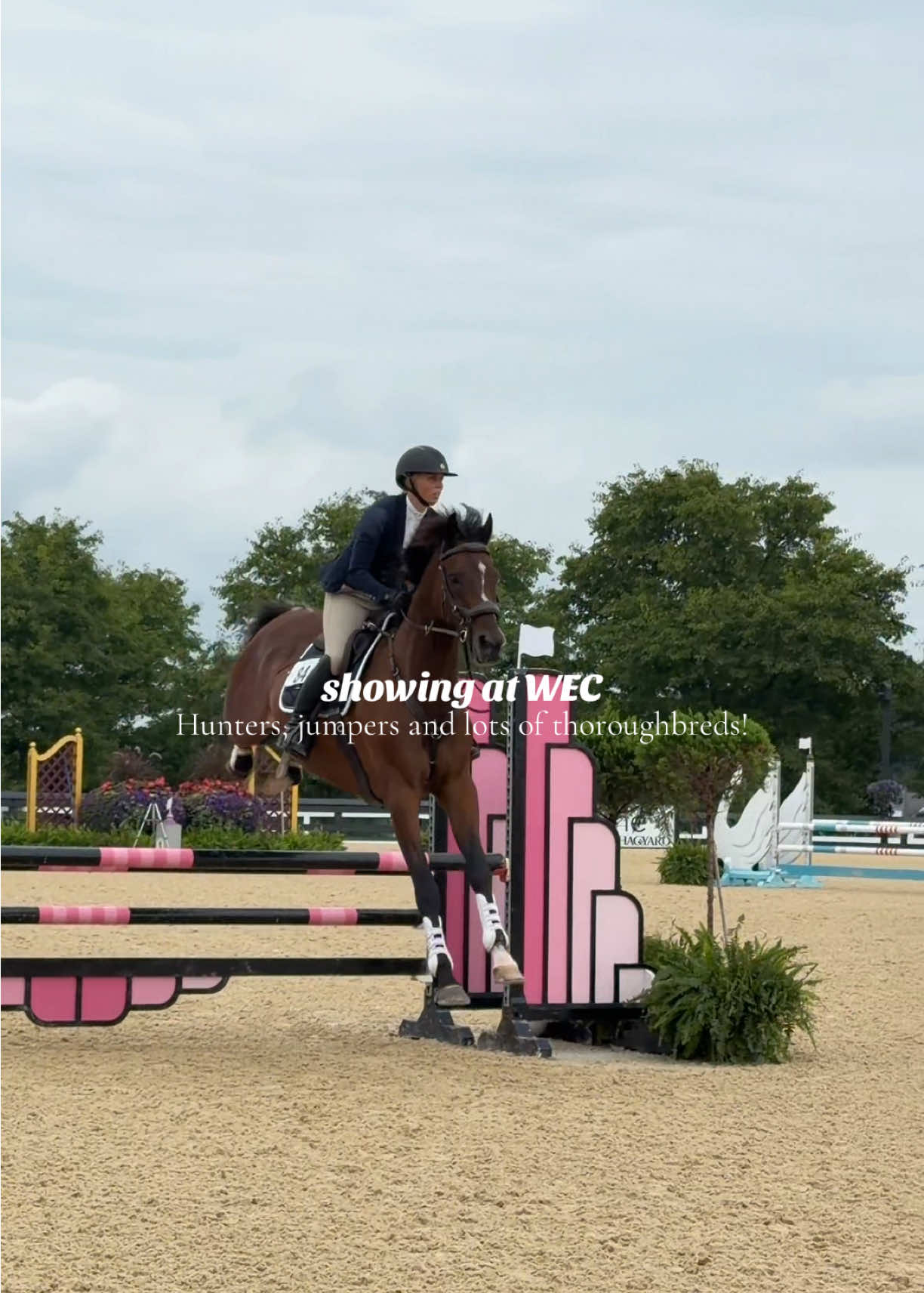 @Lunar Hill Equestrian