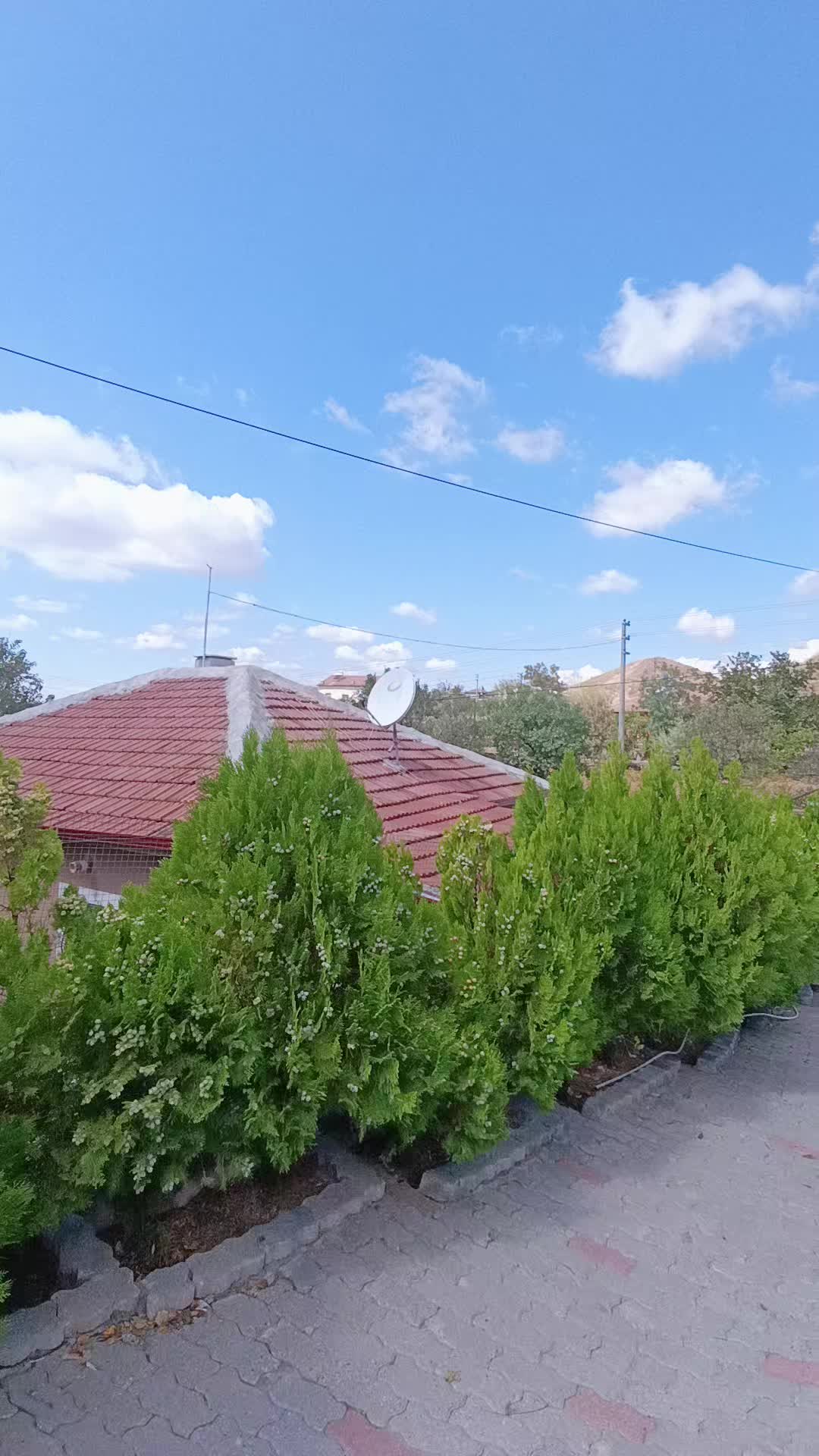 @Tayyar koyuncu