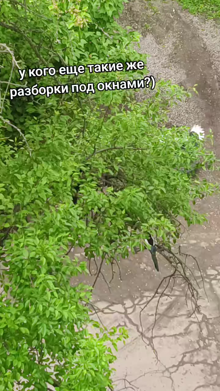 @Viktoriya