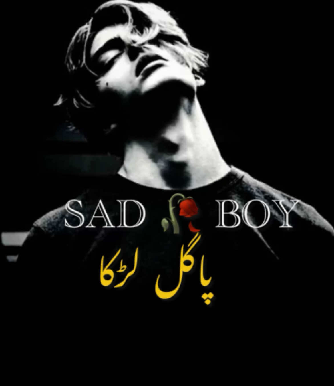 @😢 SAD BOY🎶