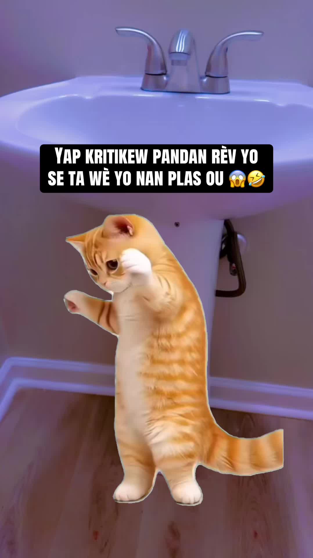 @Keke 🥰 & kiky 🥰