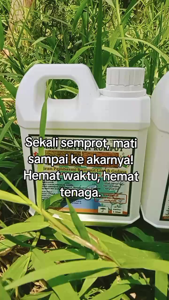 @khusnaashop