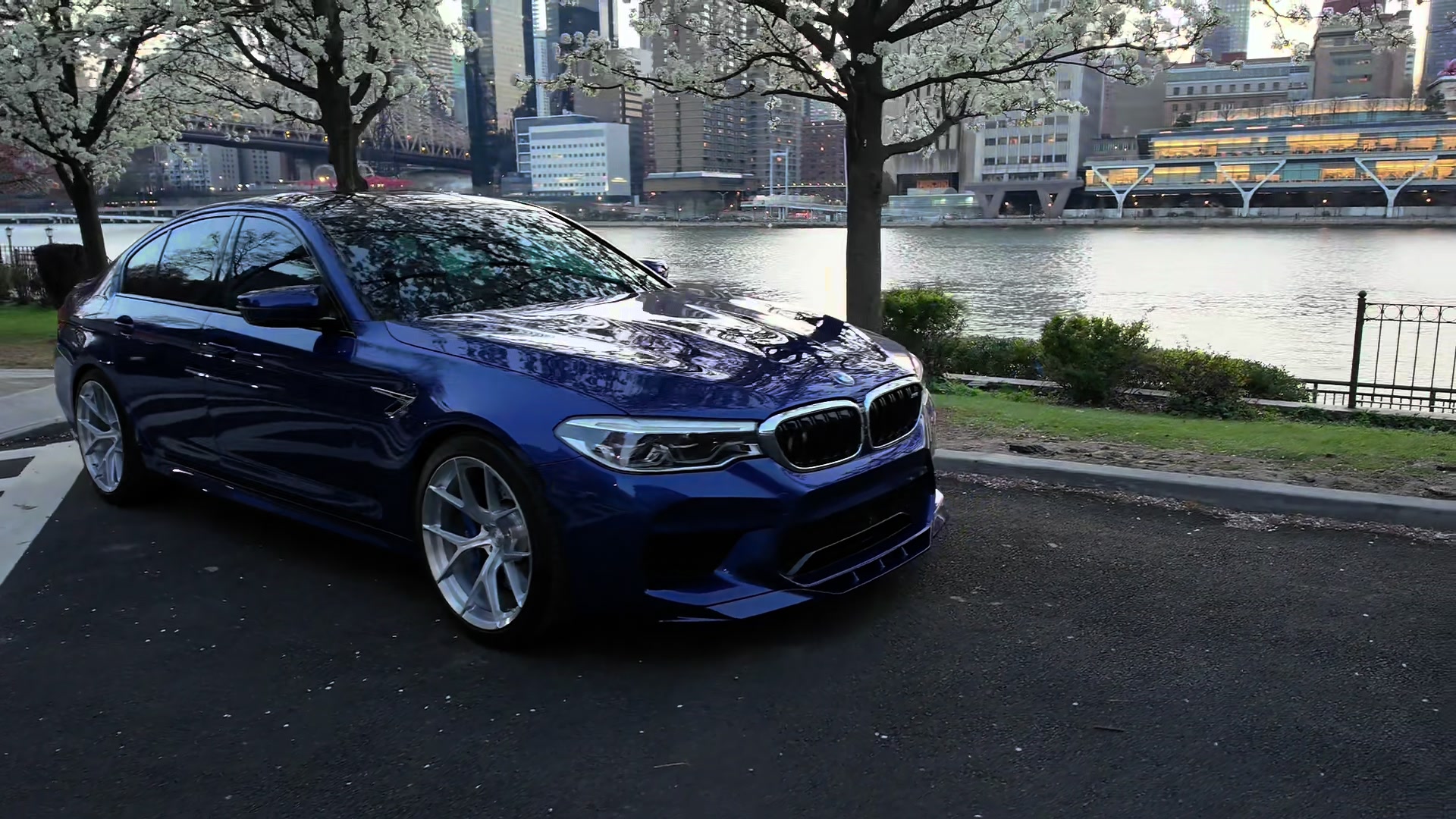 @m5.pule