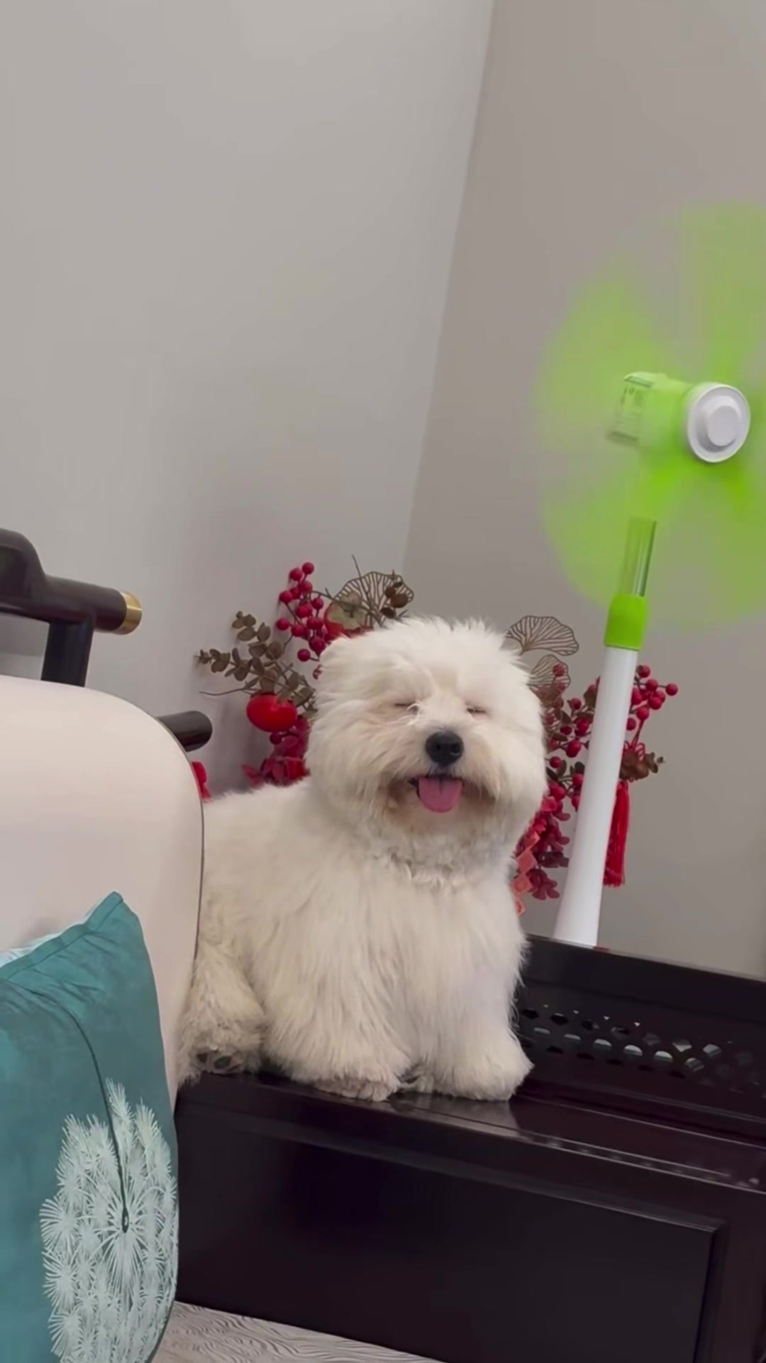 @My Daily Dose of Aww