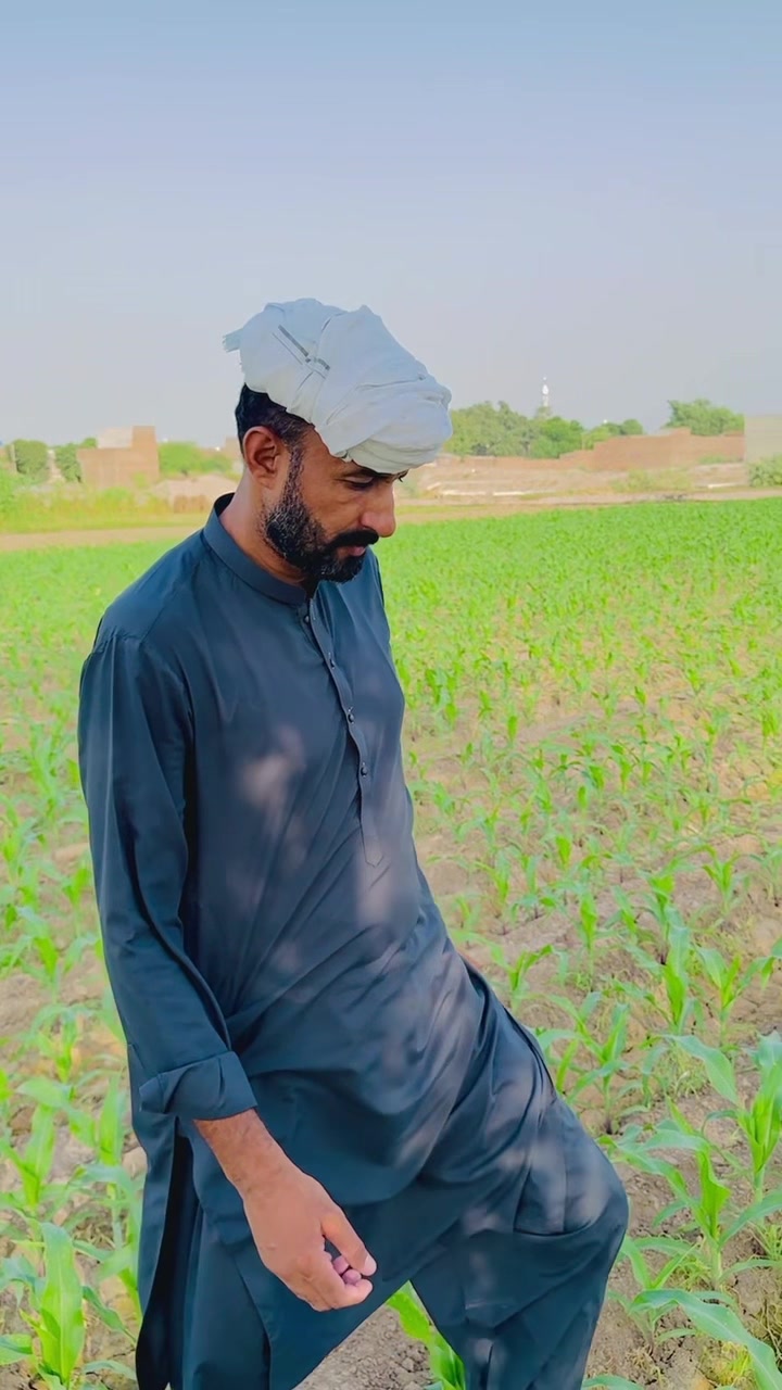 @Asad Mahmood Ludhiania