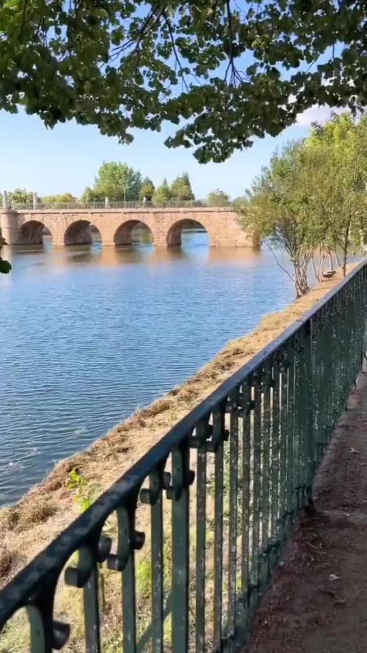@Ali Sali