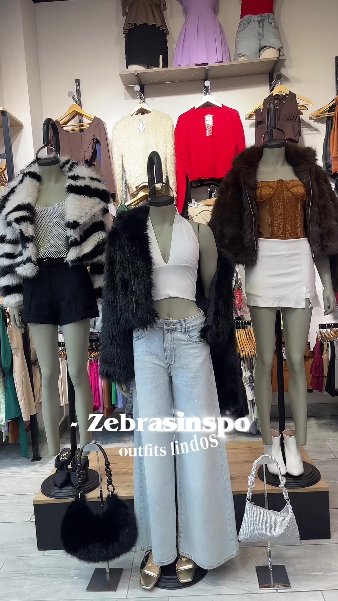 @Zebras.peru