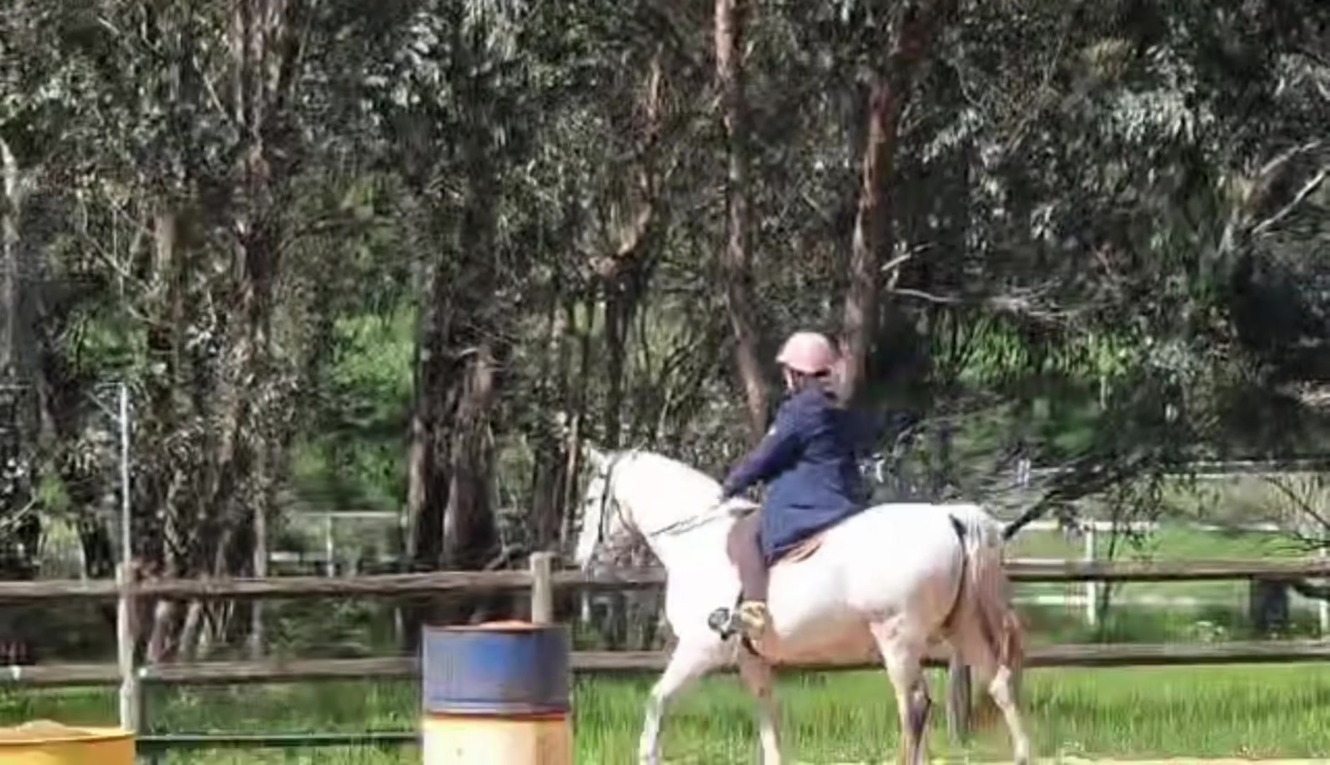 @sian_charlies_horsey_