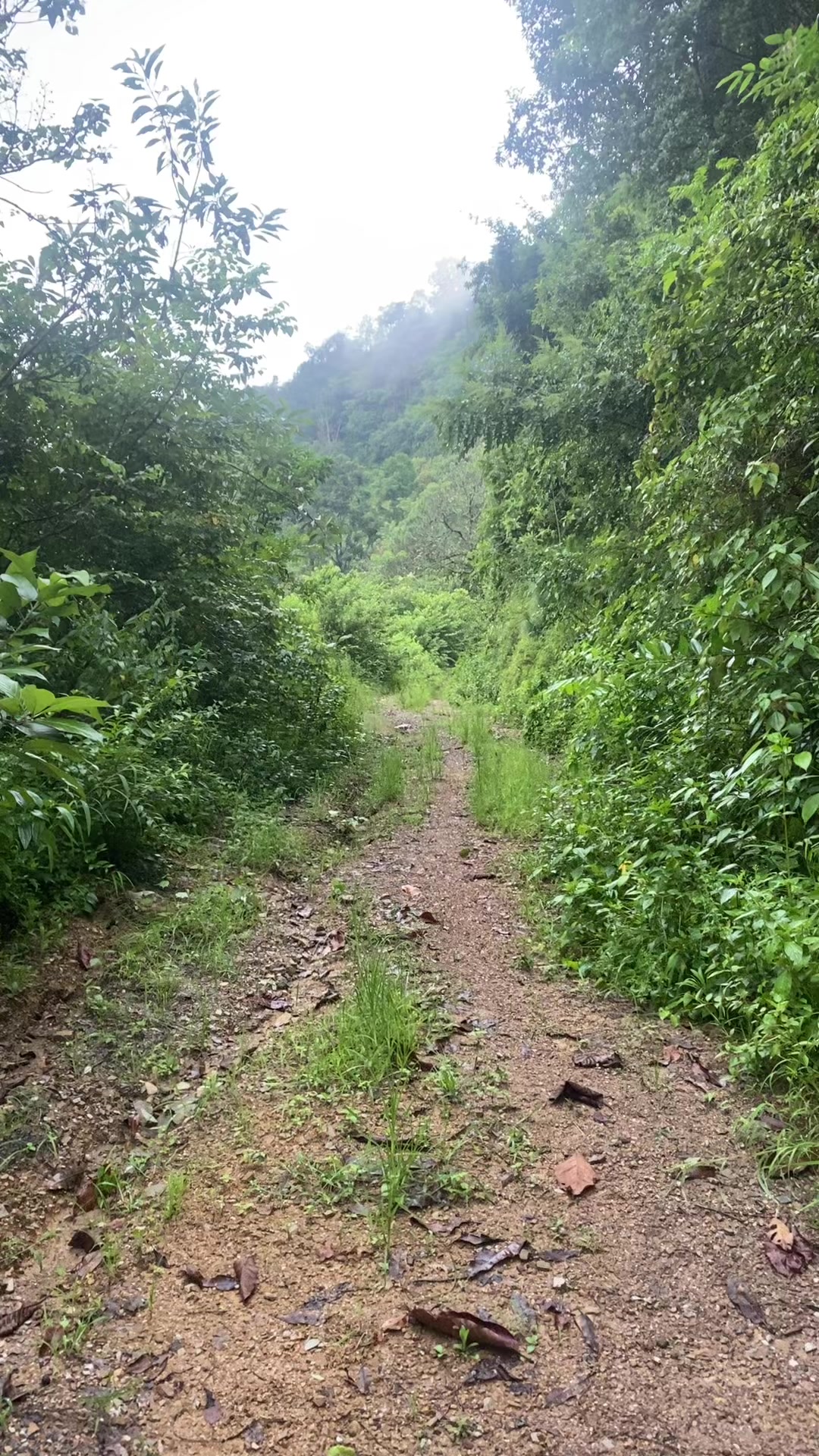 @थानेश्वर ज्ञवाली