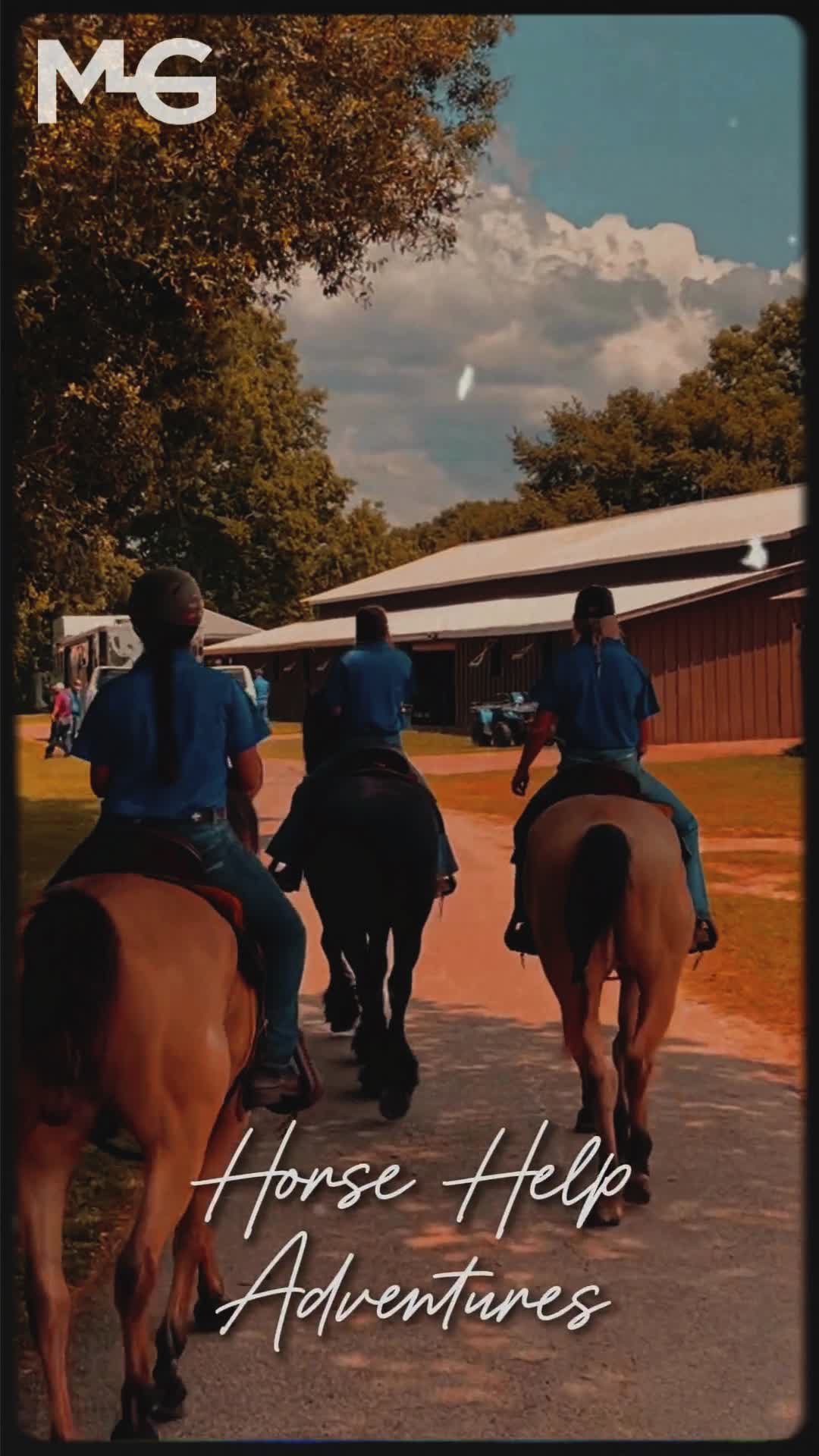 @Horse Help
