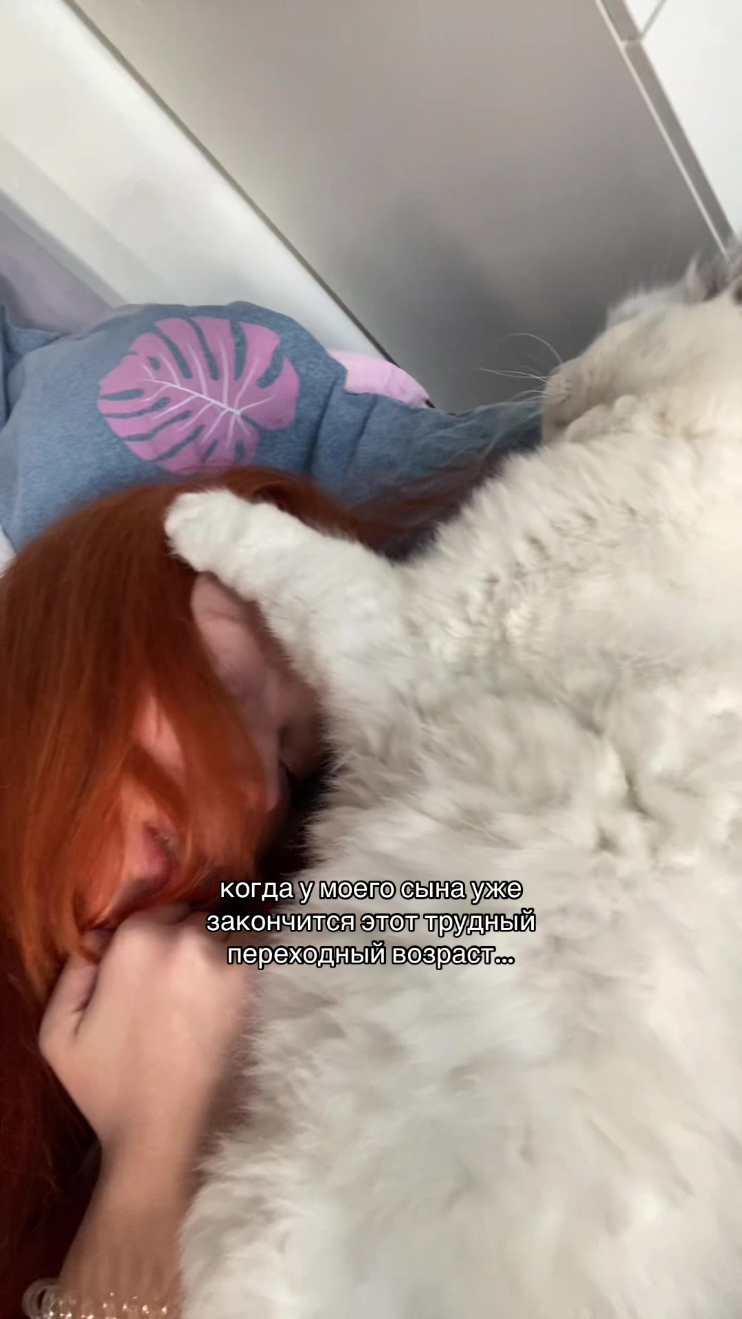 @соня рэб бит