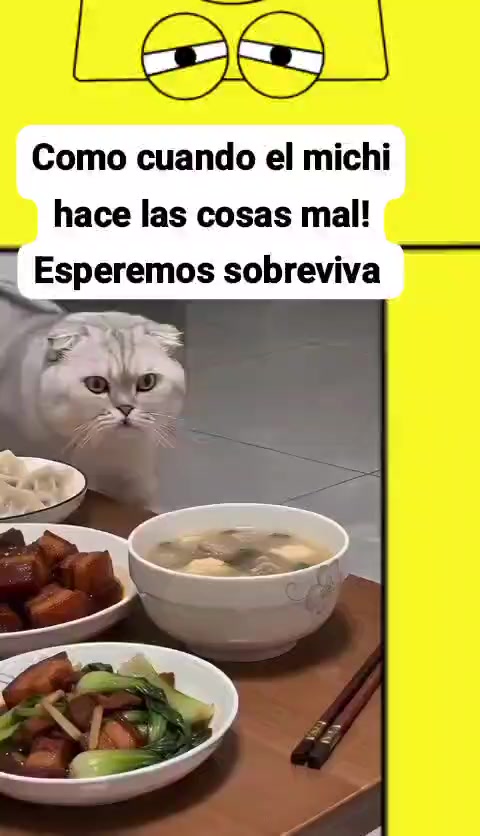@🇨🇷FREDD🇨🇷