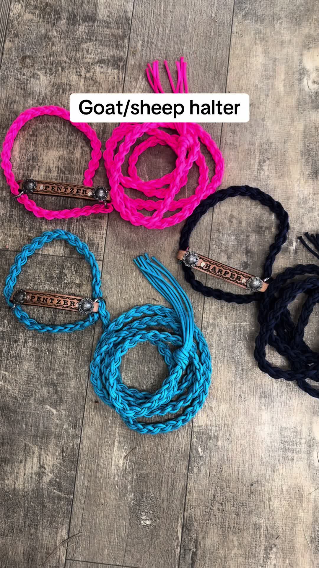 @Tiffanys Braided Horse Tack