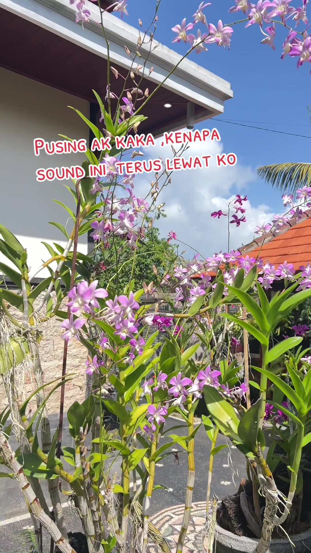 @i Gede