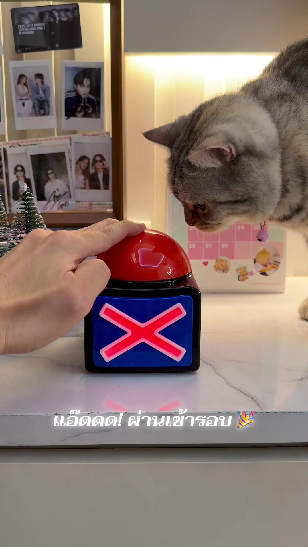@ธีร์ธีร์ มีแมวสามตัว 😻