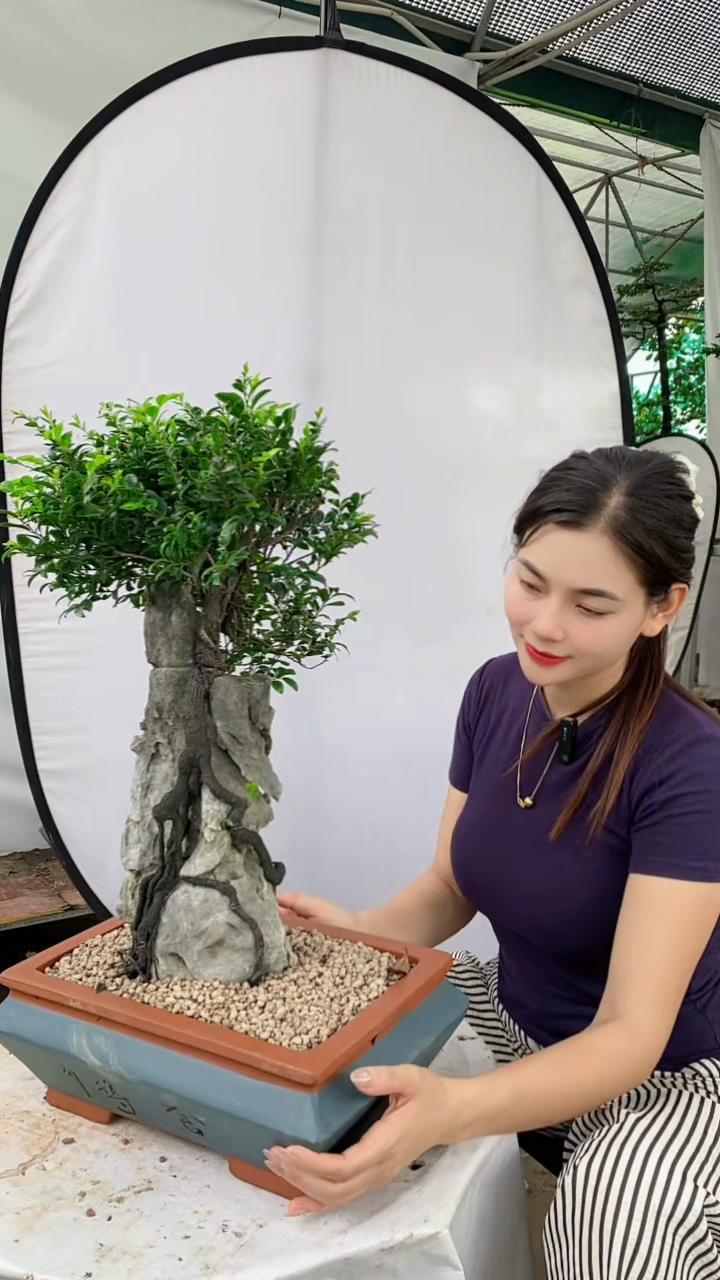 @Khổng La