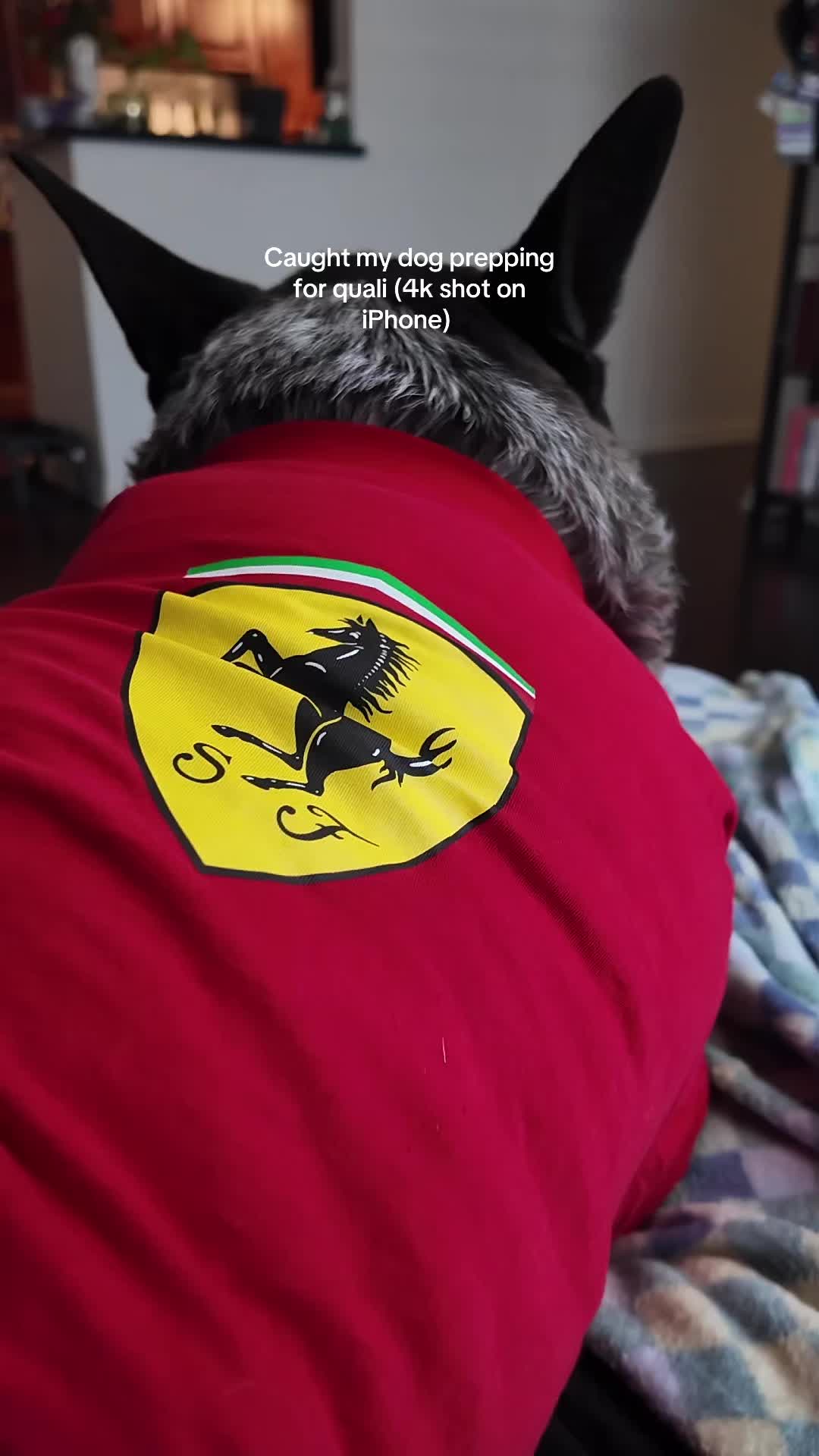 @Kira Dean 🏎️