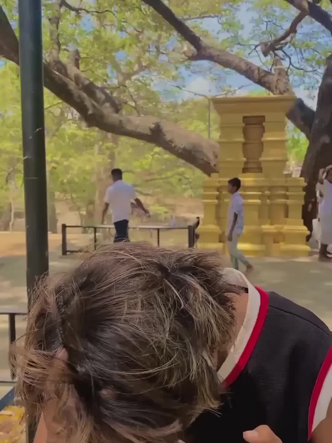 @๐ฆ ๐๐ฎ ๐ฉ ๐ถ : ๐ค๐