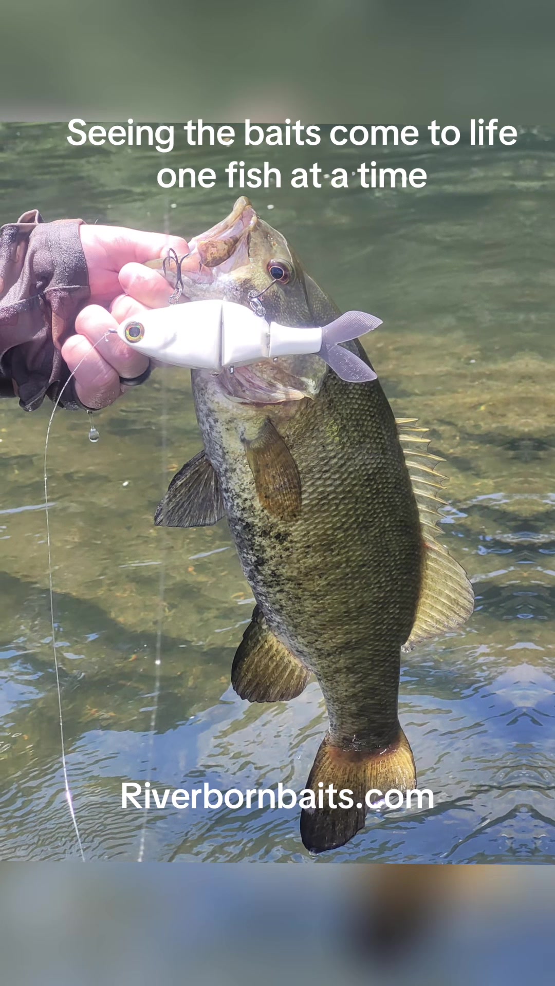 @River Born Baits