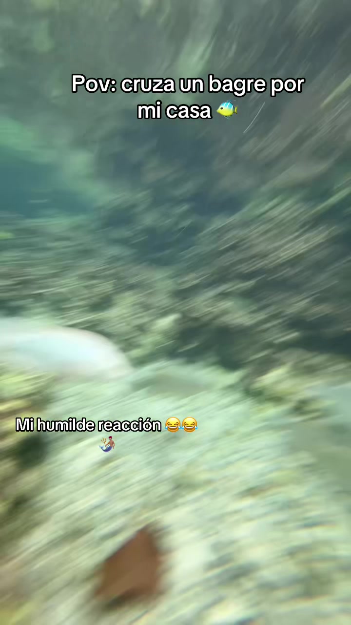 @🧜🏽♂️🪸Acuaman🧜🏽♂️🪸