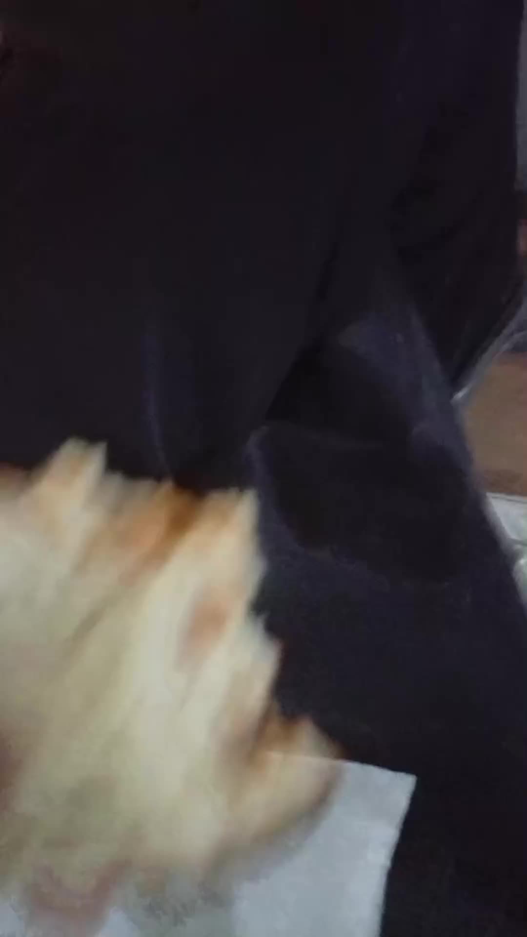@fedefede