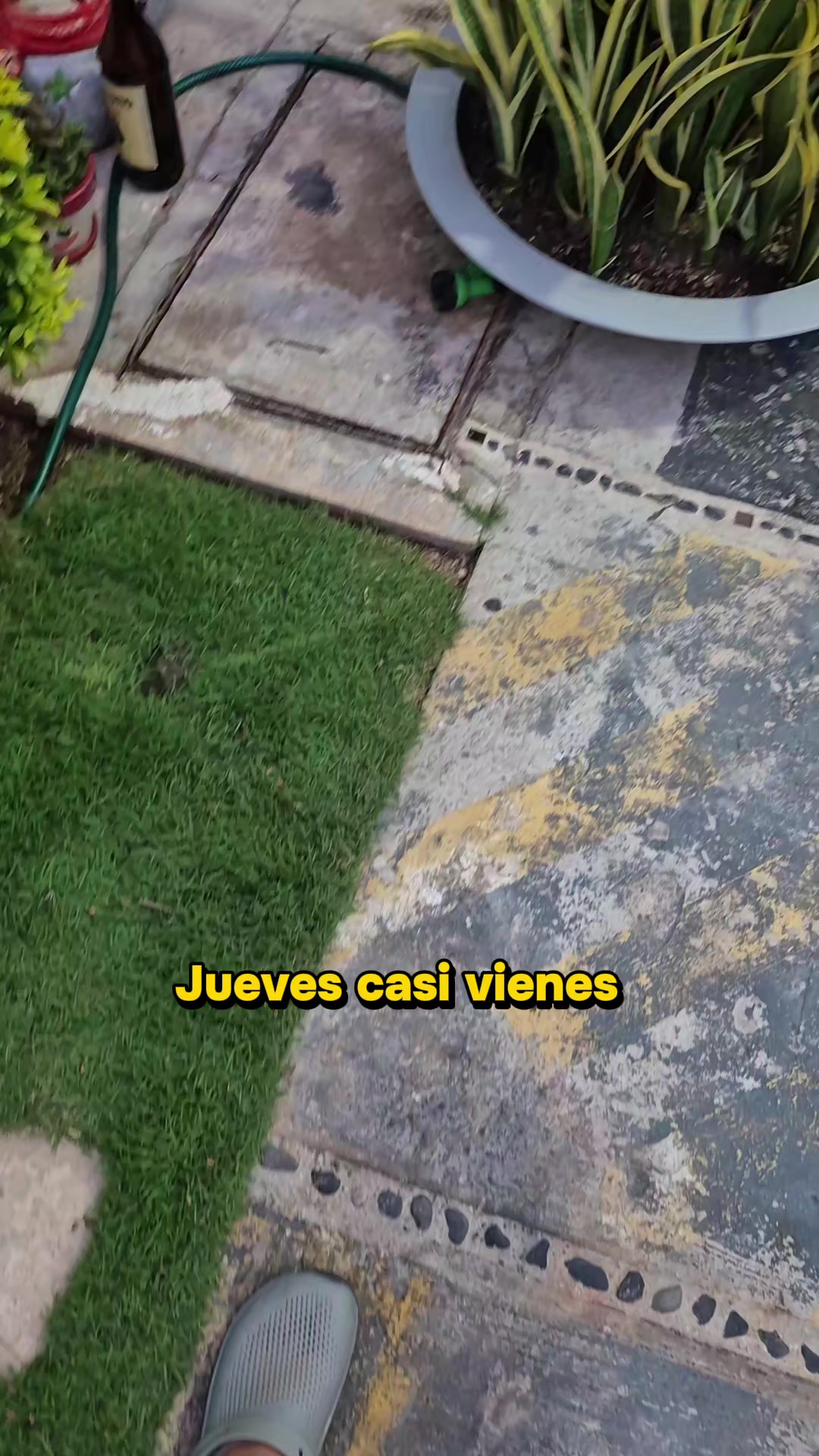 @Julio César