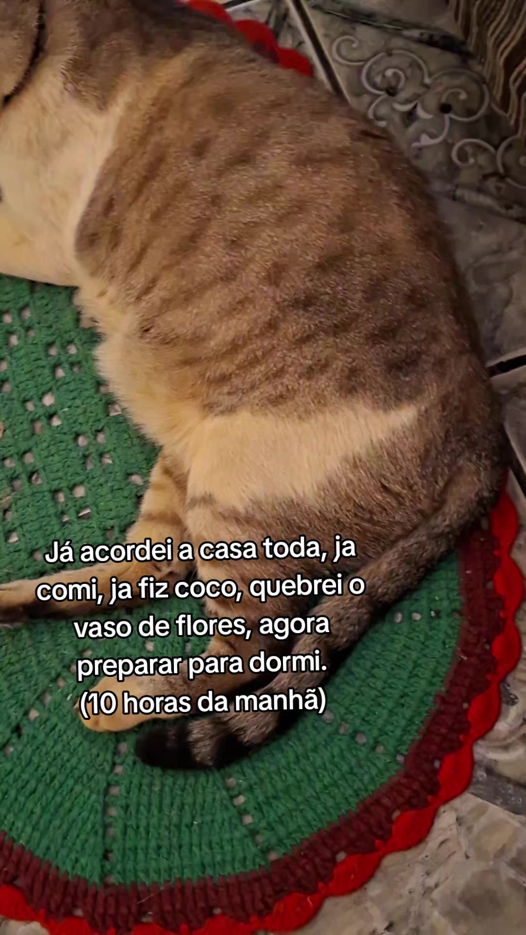 @Jennifer Da gama