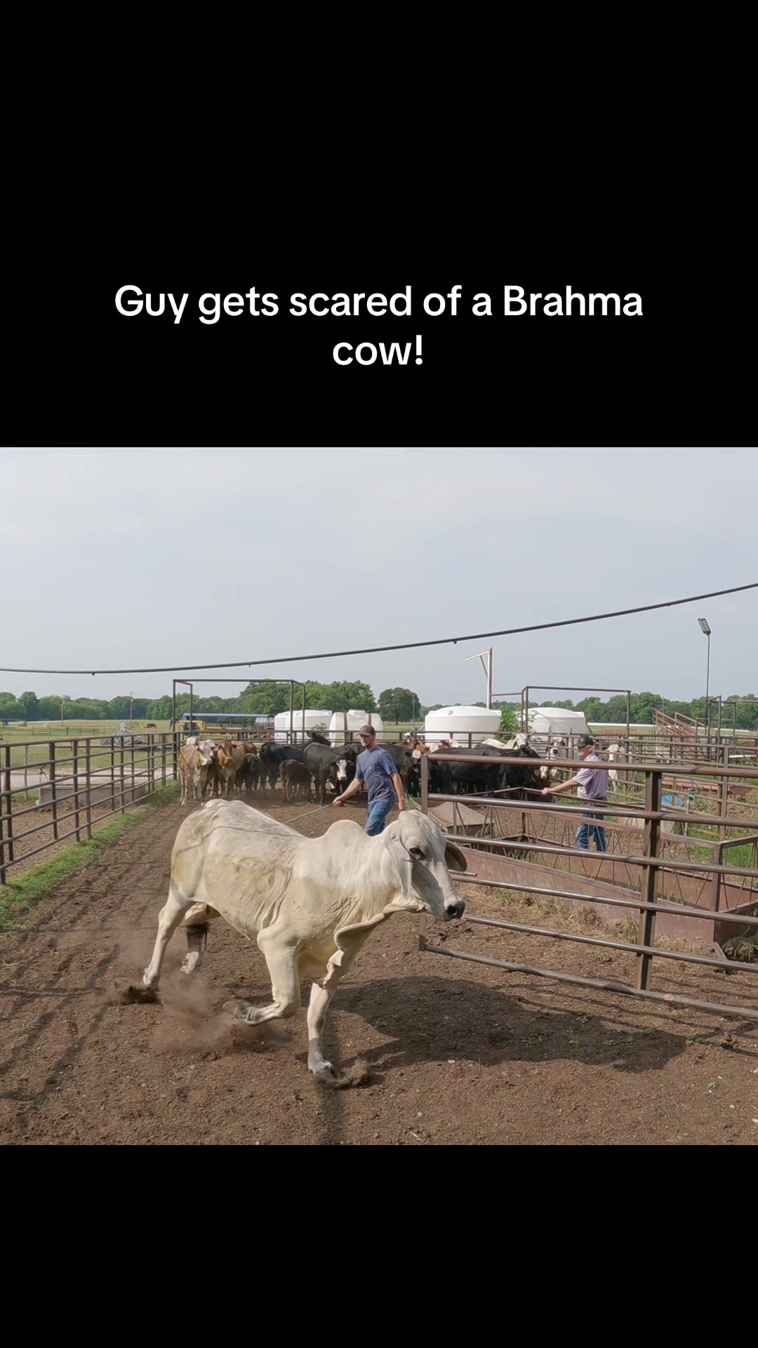 @The Farm Guy