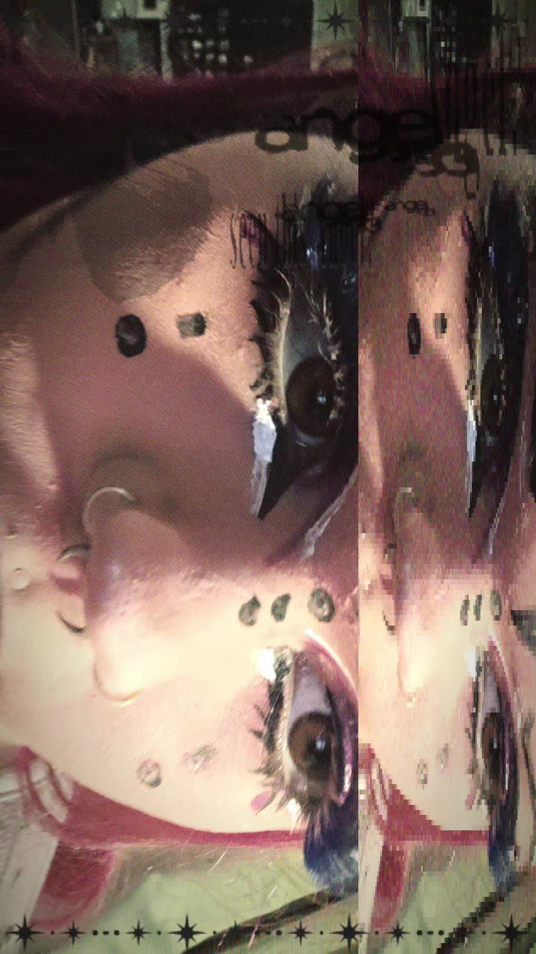 @🅱️ella😼💿