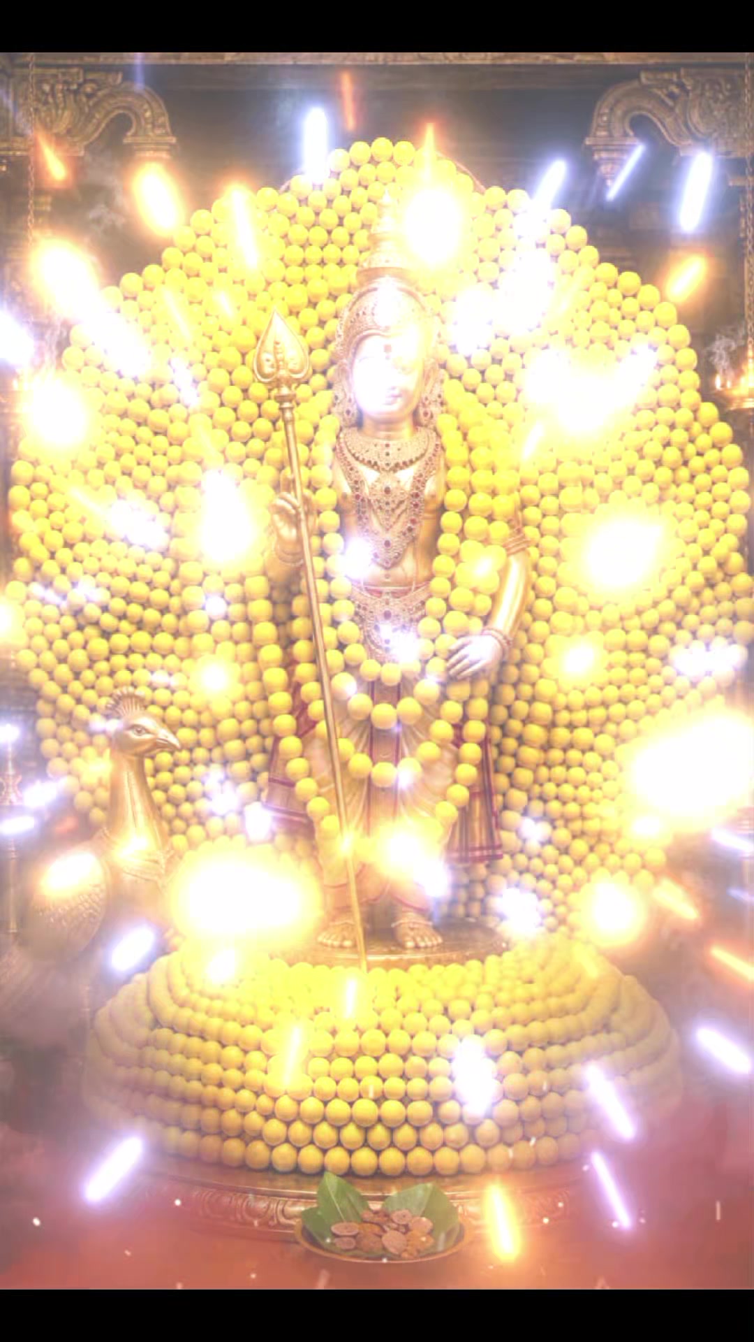 @vijaya laxmi