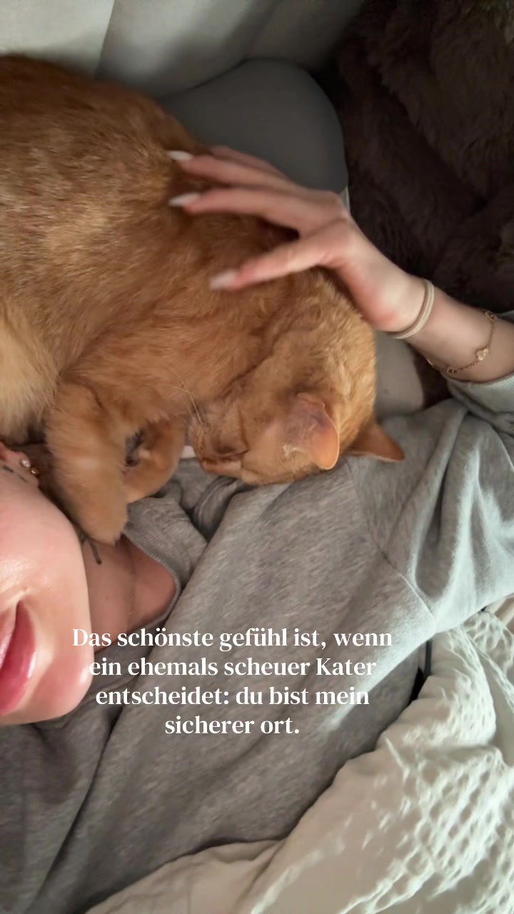 @ALINA 🐆🤎