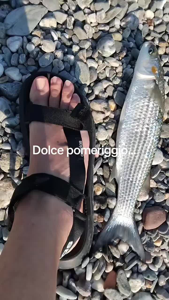 @vincenzoparasiliti2