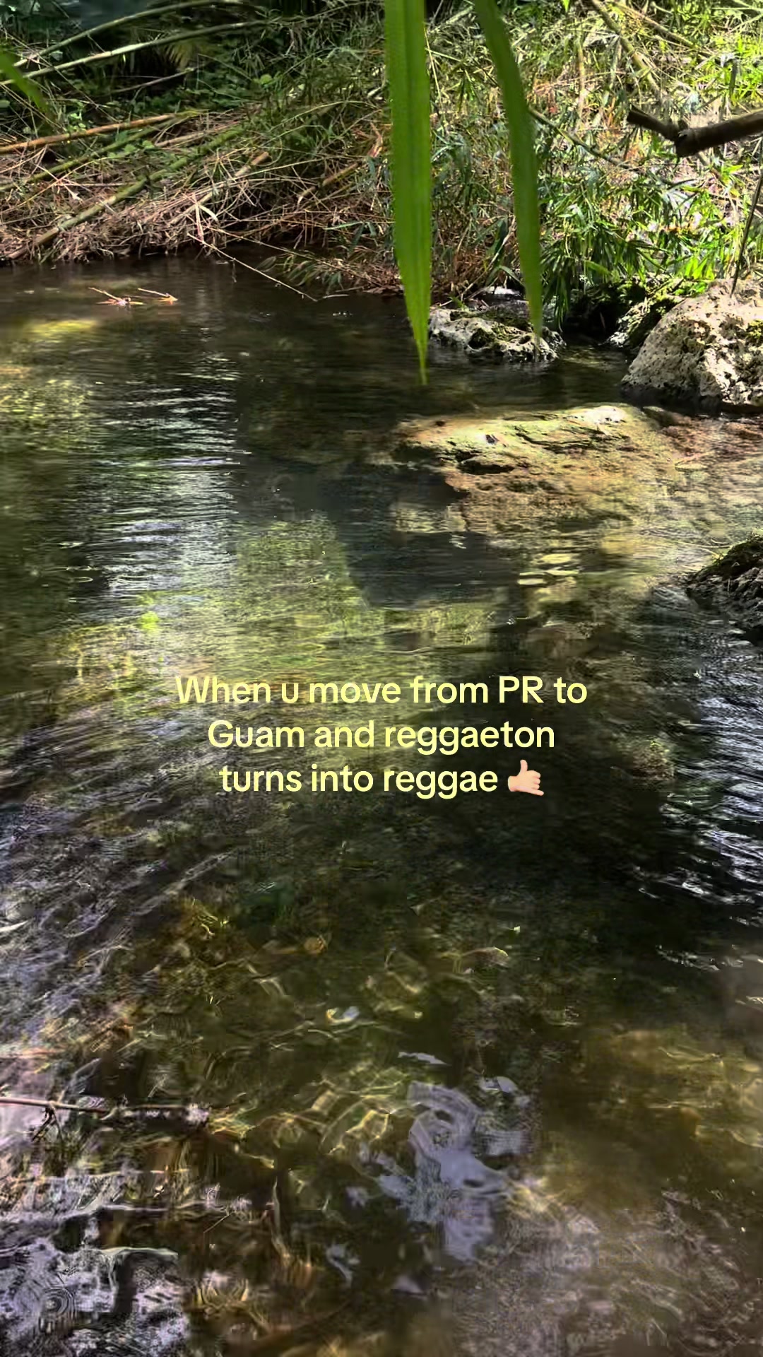 @💲