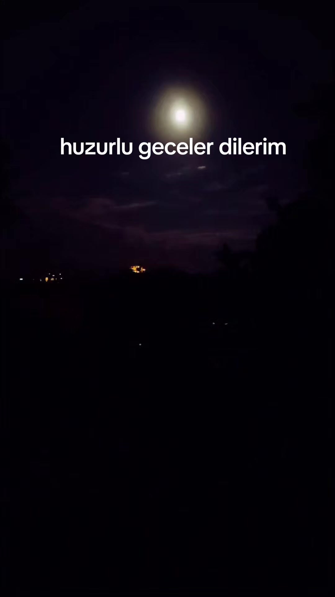 @ayse48