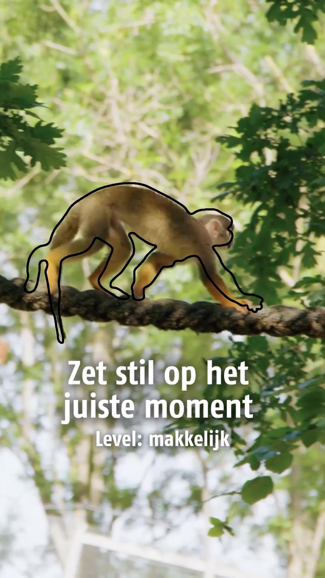 @Dierenpark Hoenderdaell