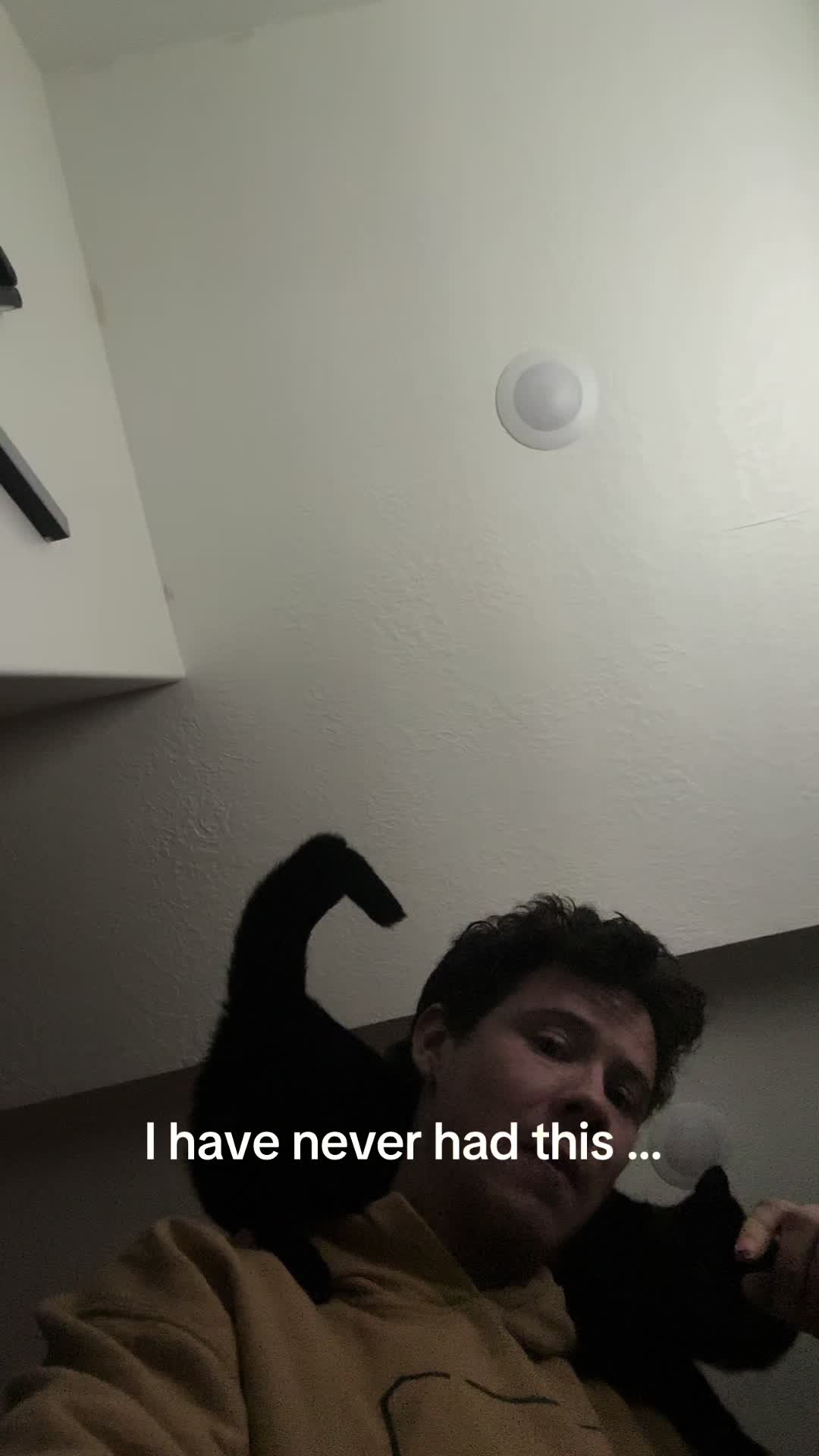 @kodi_1517