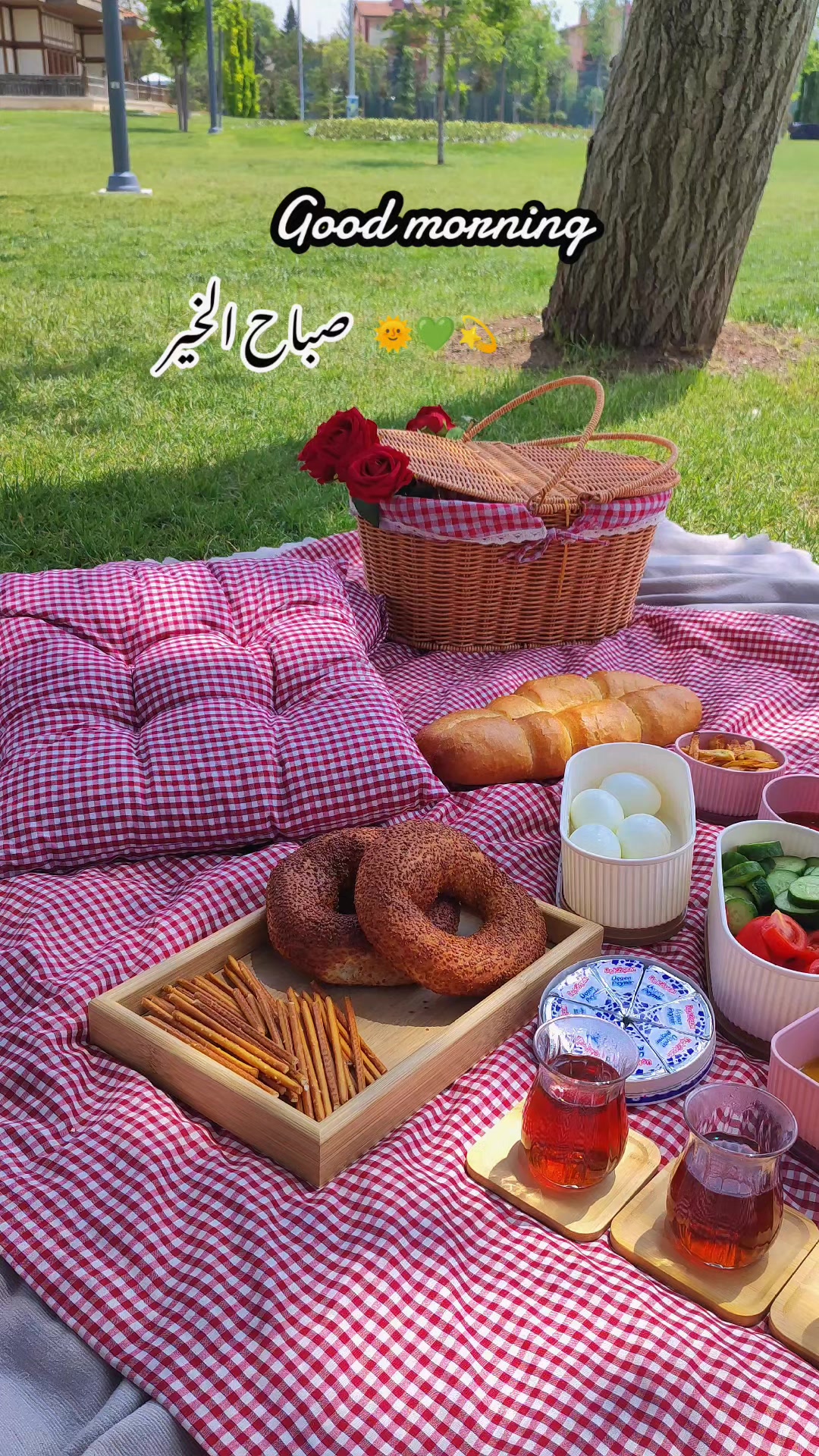 @عٍلُِوُشُة🌸 𝔸𝕃𝕌Ş𝔼