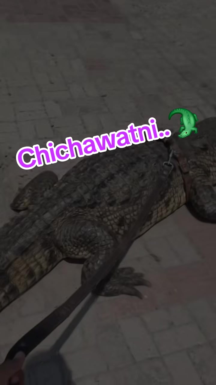 @𝐂hichawatni-Edits🙃