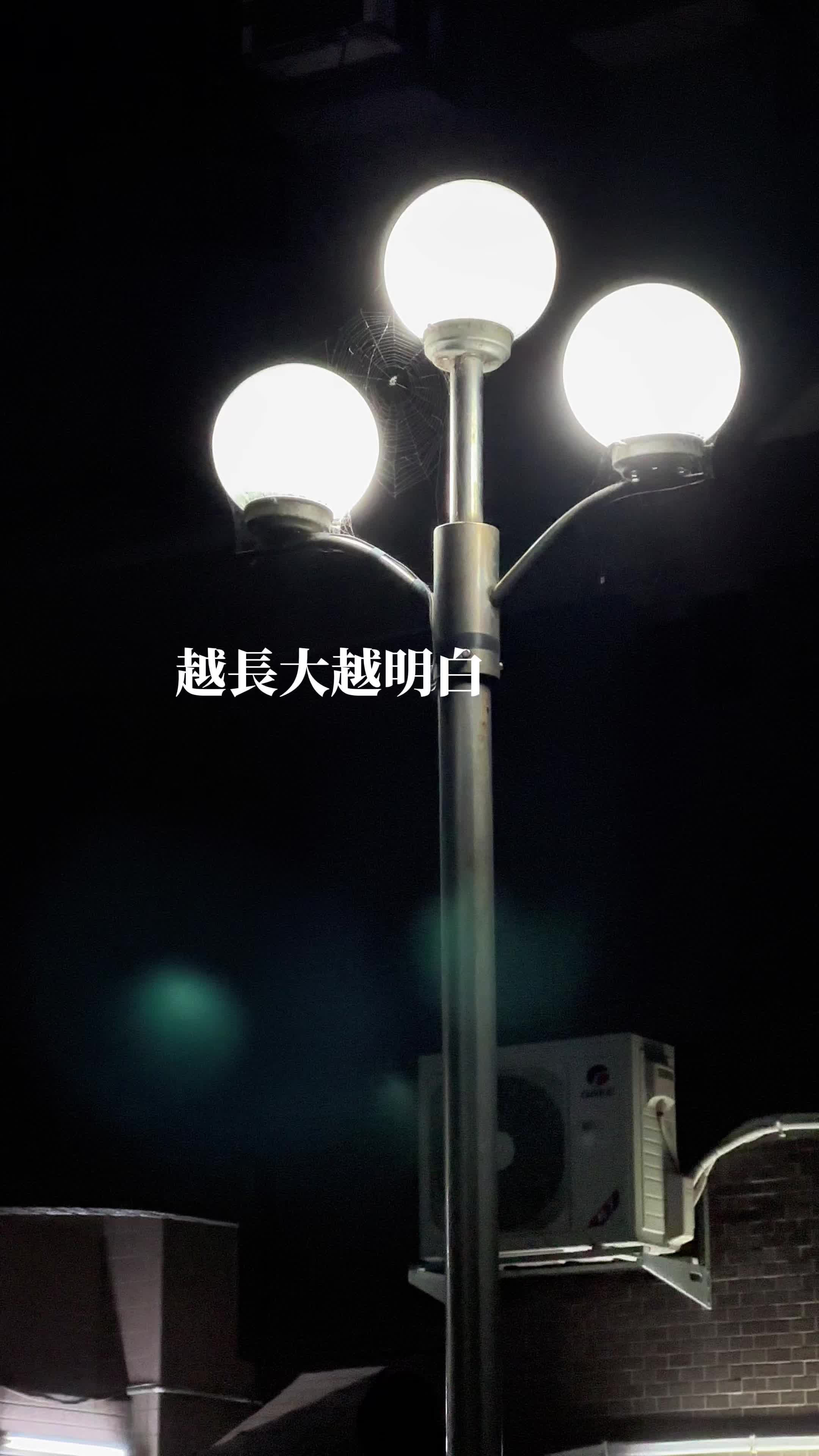 @Q毛